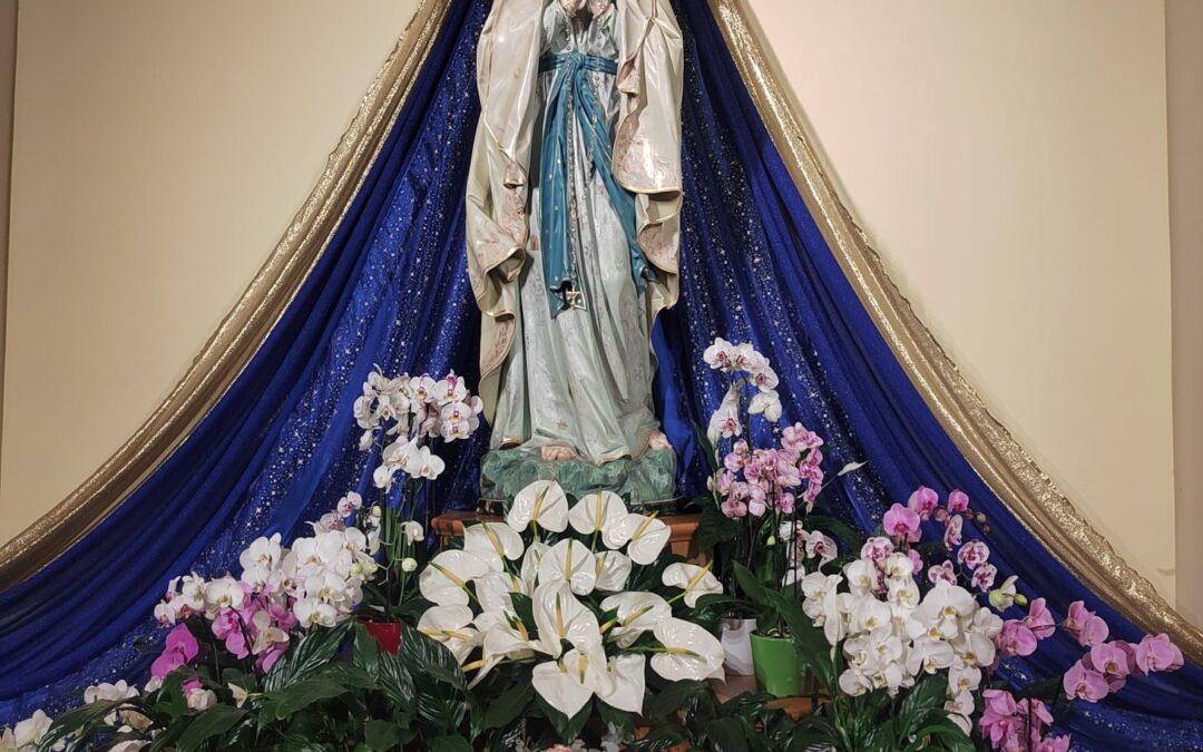 MESAJE ȘI INSPIRAȚII CEREȘTI IMPORTANTE, TRANSMISE LA MEDJUGORJE ÎN LUNA DECEMBRIE 2025, prin Emilia Mezei