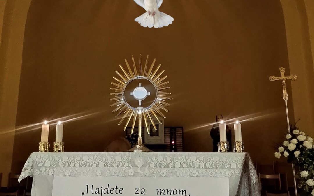 Mesaj Foarte Important transmis de Domnul Isus, 26 ianuarie 2026, Medjugorje, prin Emilia Mezei